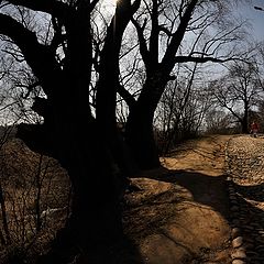 фото "в изумрудный город"