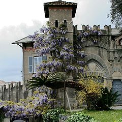 photo "in the Arenzano's  park, Genoa"