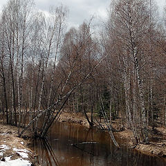 фото "Весенний этюд"