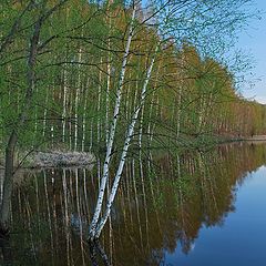 фото "В закатных лучах"