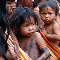 photo "Indians Mamaindê"