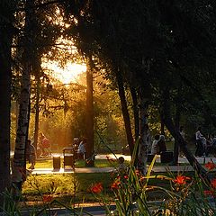 photo "Evening in the park"