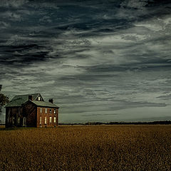 photo "Home Alone"