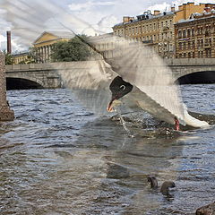 photo "A small flood"