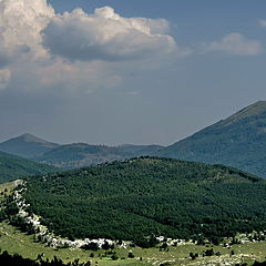photo "***"