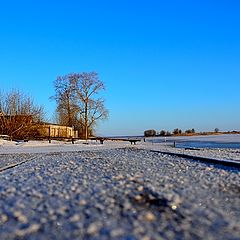 фото "С точки зрения кошки"