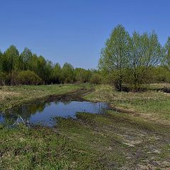 фото "Весна,дорогу залило"