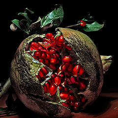 photo "Pomegranate"