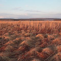 фото "Предзакатное"