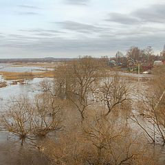 фото "Сила весны"