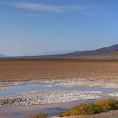 photo "Death valley. April."