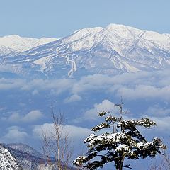 album "Shiga Kogen. Nagano."