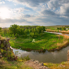 фото "Кальмиус майский"