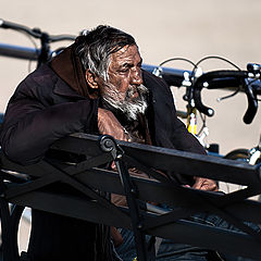 фото "Guard of bicycles..."