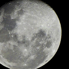 фото "Full Moon"