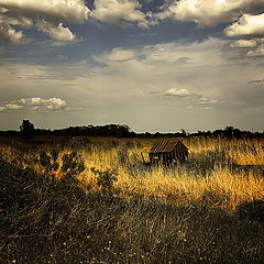 фото "Дожди"