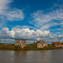 фото "Estuary"