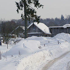 фото "домой"