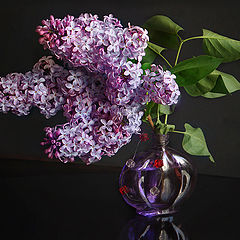 photo "***"