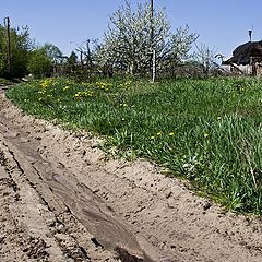 фото "Весенние..."