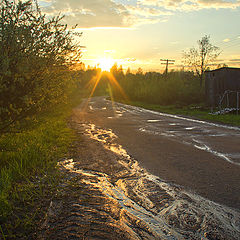 photo "After the rain"