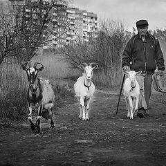 фото "жизнь в городе и не только ..."