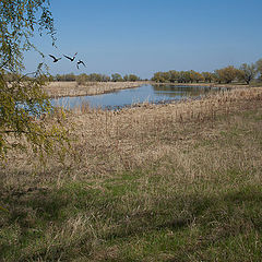 фото "весенняя"