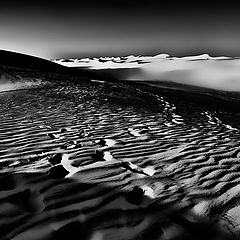 photo "Sand Dunes"