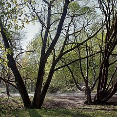 фото "весенний парк"