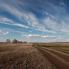 фото "Проблески первой зелени"