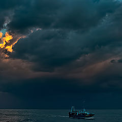 photo "Before the storm"