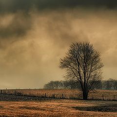 photo "Stormy Afternoon"