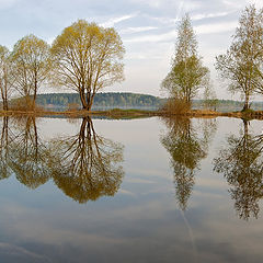 фото "Разлив"