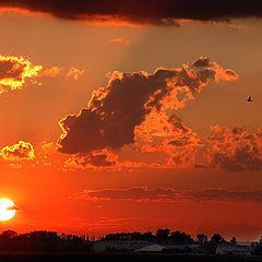 фото "Sunset"