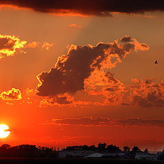 photo "Sunset"