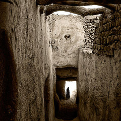 photo "Desert Alley"