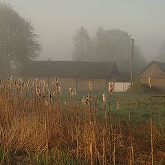 photo "Away from the road"