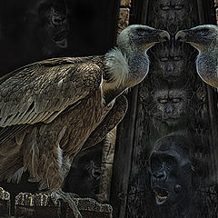 photo "Portal on a planet of Monkeys"