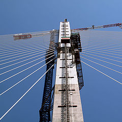 фото "Строим мост"