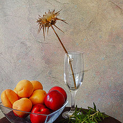 photo "Still life with an apricot and rosemary"