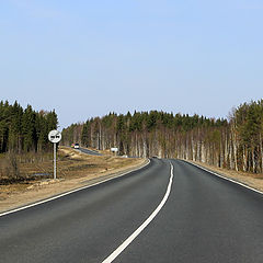 фото "Крутой поворот"