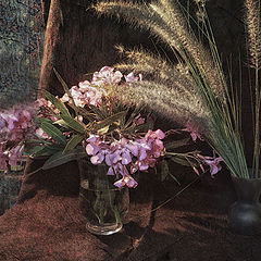 photo "***"