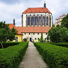 фото "Дорога к костёлу."