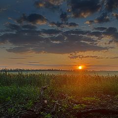 фото "Догорающий"