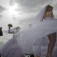 фото "брачный танец"