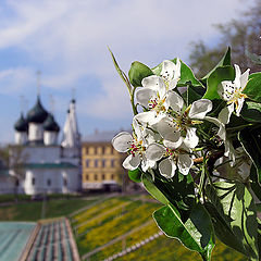 фото "Весна цветущая"