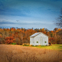photo "Autumn Memories"