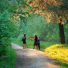 photo "Photography in nature"