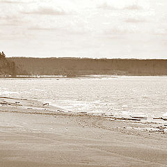 photo "Walking on the beach ..."