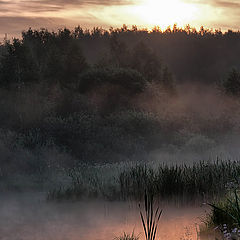 фото "Рассвет"